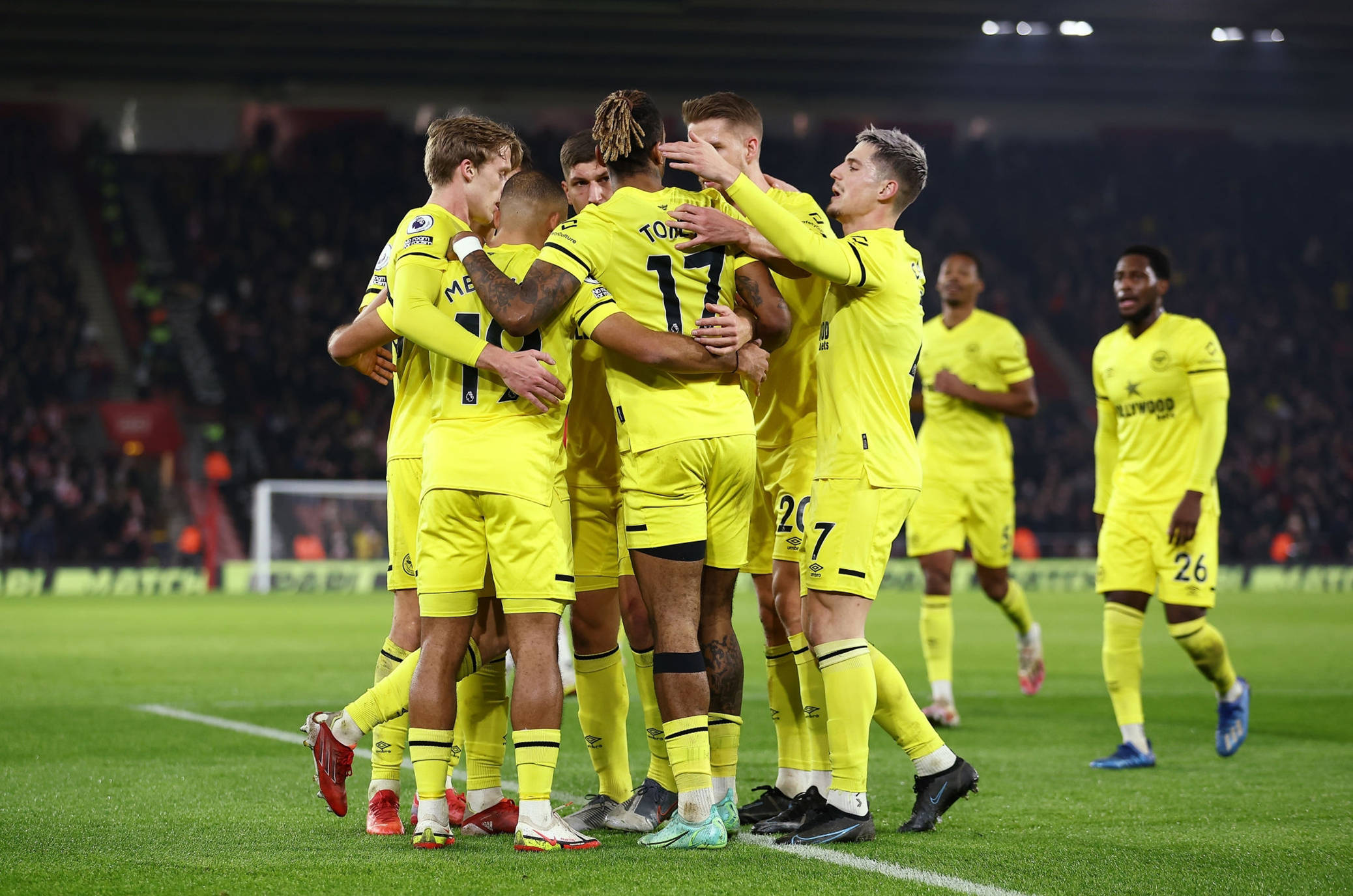 这次引入安 这次引入安